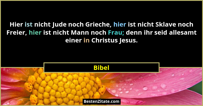 Hier ist nicht Jude noch Grieche, hier ist nicht Sklave noch Freier, hier ist nicht Mann noch Frau; denn ihr seid allesamt einer in Christus J... - Bibel
