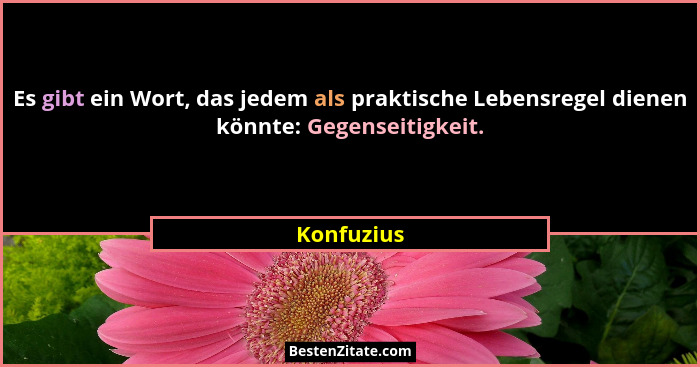 Es gibt ein Wort, das jedem als praktische Lebensregel dienen könnte: Gegenseitigkeit.... - Konfuzius