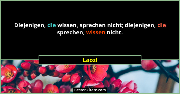Diejenigen, die wissen, sprechen nicht; diejenigen, die sprechen, wissen nicht.... - Laozi