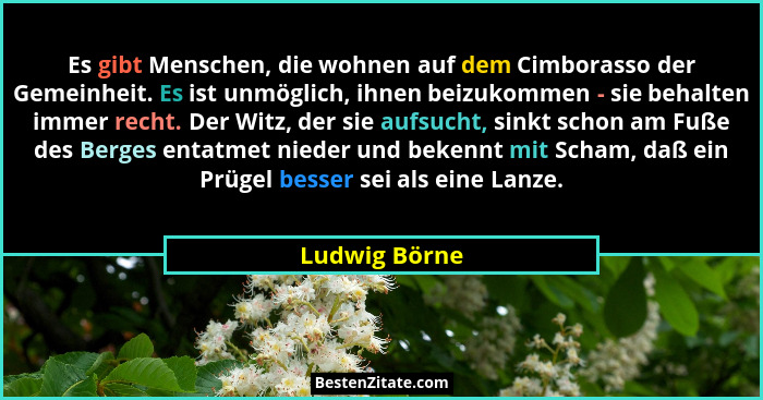 Es gibt Menschen, die wohnen auf dem Cimborasso der Gemeinheit. Es ist unmöglich, ihnen beizukommen - sie behalten immer recht. Der Wit... - Ludwig Börne