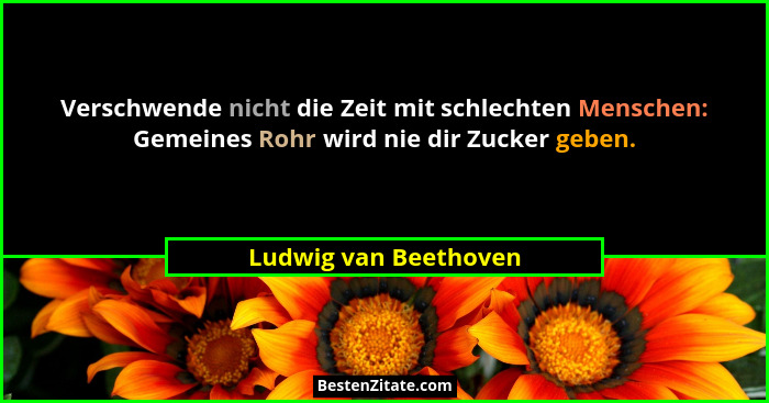 Verschwende nicht die Zeit mit schlechten Menschen: Gemeines Rohr wird nie dir Zucker geben.... - Ludwig van Beethoven