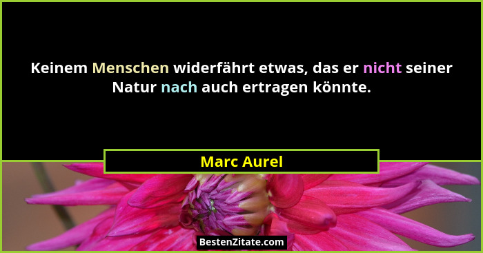 Keinem Menschen widerfährt etwas, das er nicht seiner Natur nach auch ertragen könnte.... - Marc Aurel