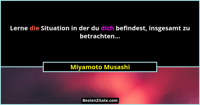 Lerne die Situation in der du dich befindest, insgesamt zu betrachten...... - Miyamoto Musashi