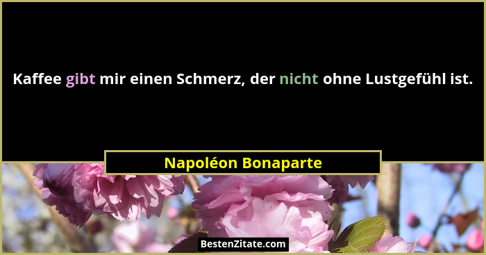 Kaffee gibt mir einen Schmerz, der nicht ohne Lustgefühl ist.... - Napoléon Bonaparte