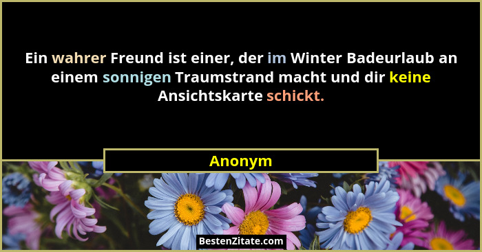Ein wahrer Freund ist einer, der im Winter Badeurlaub an einem sonnigen Traumstrand macht und dir keine Ansichtskarte schickt.... - Anonym