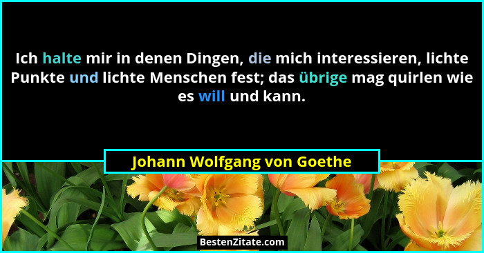 Ich halte mir in denen Dingen, die mich interessieren, lichte Punkte und lichte Menschen fest; das übrige mag quirlen wie... - Johann Wolfgang von Goethe