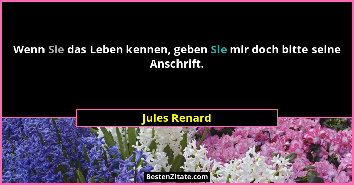 Wenn Sie das Leben kennen, geben Sie mir doch bitte seine Anschrift.... - Jules Renard