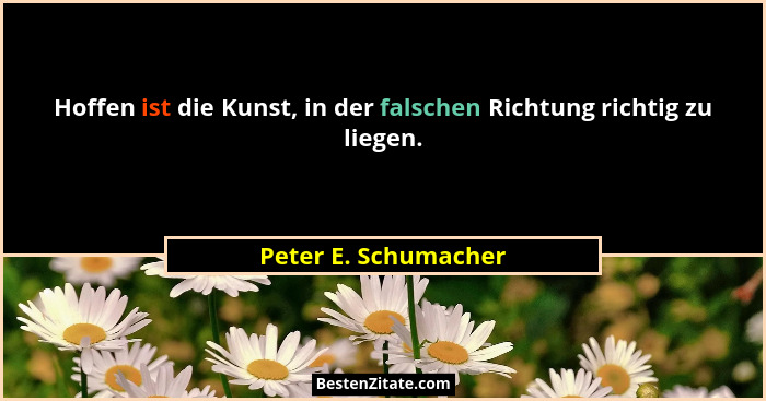 Hoffen ist die Kunst, in der falschen Richtung richtig zu liegen.... - Peter E. Schumacher