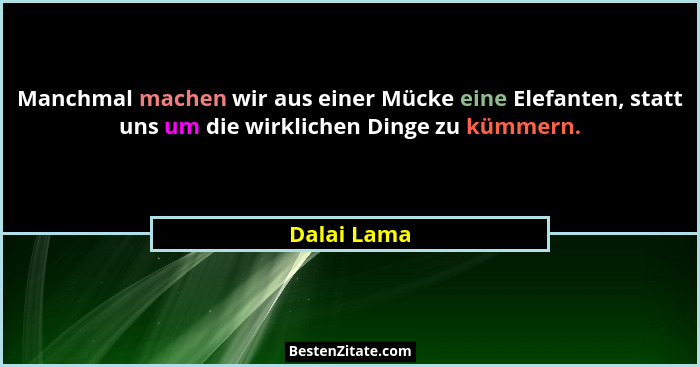 Manchmal machen wir aus einer Mücke eine Elefanten, statt uns um die wirklichen Dinge zu kümmern.... - Dalai Lama