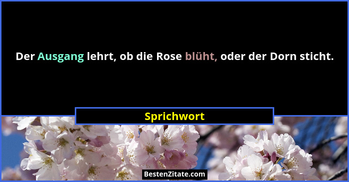 Der Ausgang lehrt, ob die Rose blüht, oder der Dorn sticht.... - Sprichwort