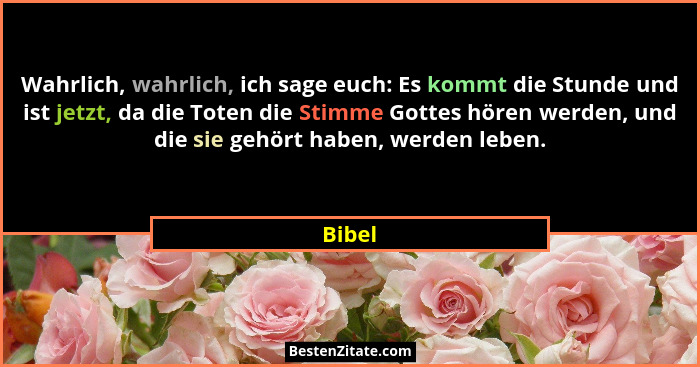Wahrlich, wahrlich, ich sage euch: Es kommt die Stunde und ist jetzt, da die Toten die Stimme Gottes hören werden, und die sie gehört haben, w... - Bibel