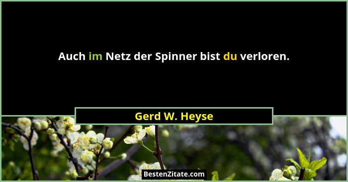 Auch im Netz der Spinner bist du verloren.... - Gerd W. Heyse