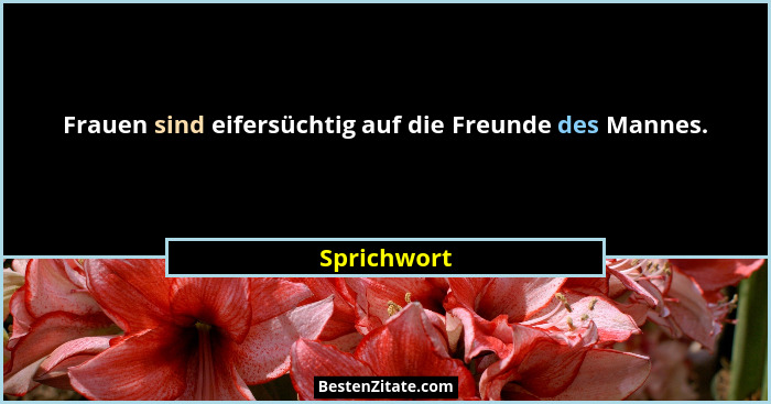 Frauen sind eifersüchtig auf die Freunde des Mannes.... - Sprichwort