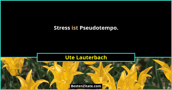 Stress ist Pseudotempo.... - Ute Lauterbach