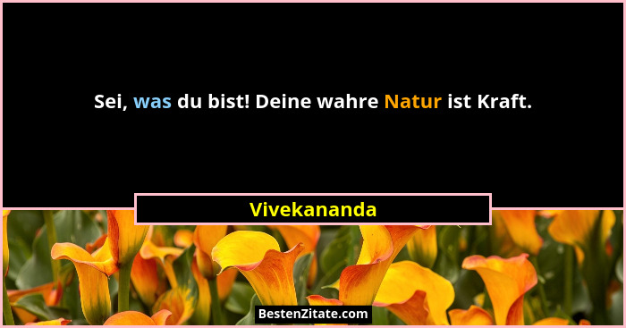 Sei, was du bist! Deine wahre Natur ist Kraft.... - Vivekananda