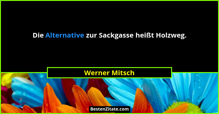 Die Alternative zur Sackgasse heißt Holzweg.... - Werner Mitsch