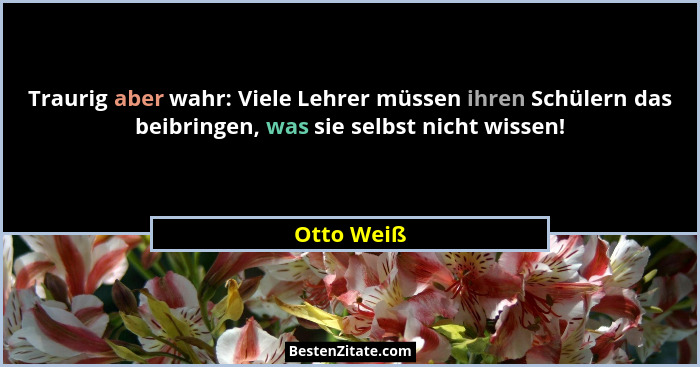 Traurig aber wahr: Viele Lehrer müssen ihren Schülern das beibringen, was sie selbst nicht wissen!... - Otto Weiß