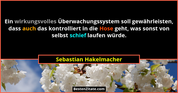 Ein wirkungsvolles Überwachungssystem soll gewährleisten, dass auch das kontrolliert in die Hose geht, was sonst von selbst sc... - Sebastian Hakelmacher