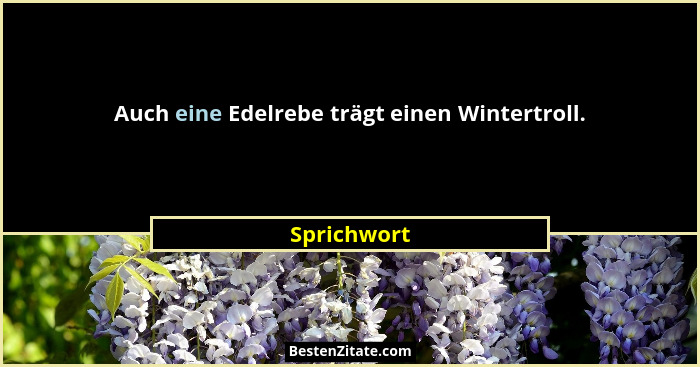 Auch eine Edelrebe trägt einen Wintertroll.... - Sprichwort