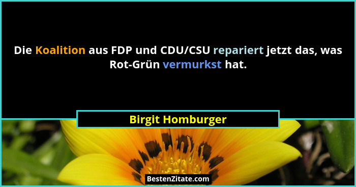 Die Koalition aus FDP und CDU/CSU repariert jetzt das, was Rot-Grün vermurkst hat.... - Birgit Homburger