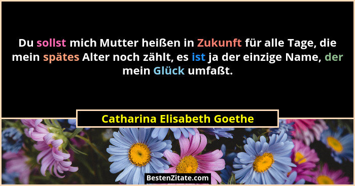 Du sollst mich Mutter heißen in Zukunft für alle Tage, die mein spätes Alter noch zählt, es ist ja der einzige Name, der... - Catharina Elisabeth Goethe