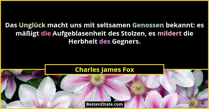 Das Unglück macht uns mit seltsamen Genossen bekannt: es mäßigt die Aufgeblasenheit des Stolzen, es mildert die Herbheit des Gegne... - Charles James Fox