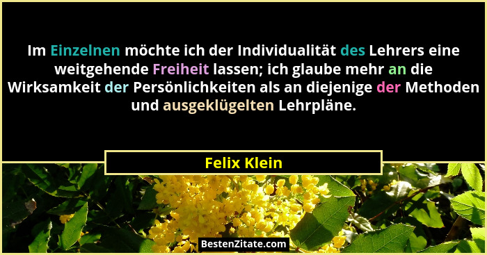 Im Einzelnen möchte ich der Individualität des Lehrers eine weitgehende Freiheit lassen; ich glaube mehr an die Wirksamkeit der Persönli... - Felix Klein