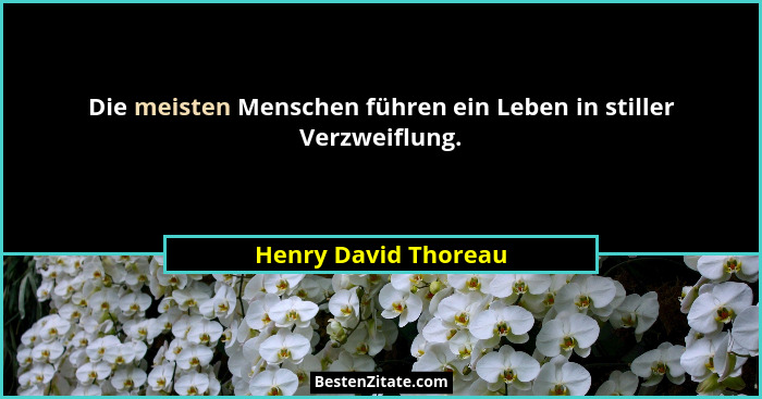Die meisten Menschen führen ein Leben in stiller Verzweiflung.... - Henry David Thoreau