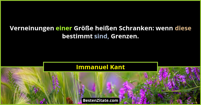 Verneinungen einer Größe heißen Schranken: wenn diese bestimmt sind, Grenzen.... - Immanuel Kant