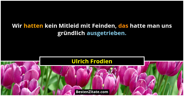 Wir hatten kein Mitleid mit Feinden, das hatte man uns gründlich ausgetrieben.... - Ulrich Frodien