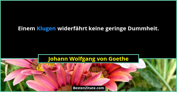 Einem Klugen widerfährt keine geringe Dummheit.... - Johann Wolfgang von Goethe