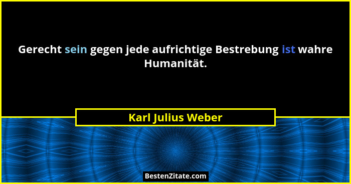 Gerecht sein gegen jede aufrichtige Bestrebung ist wahre Humanität.... - Karl Julius Weber