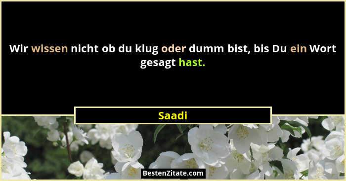 Wir wissen nicht ob du klug oder dumm bist, bis Du ein Wort gesagt hast.... - Saadi