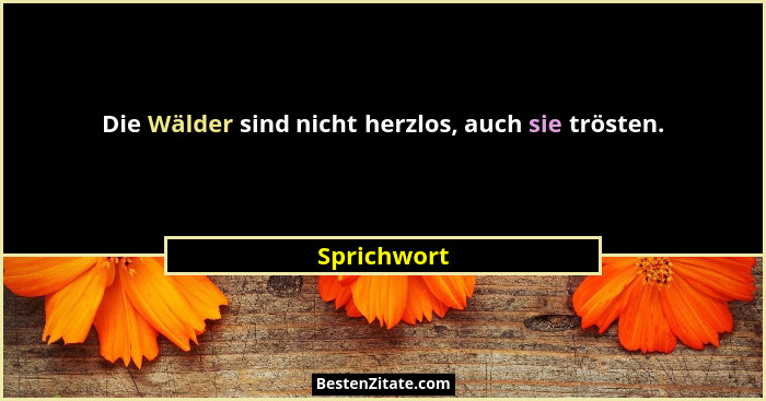 Die Wälder sind nicht herzlos, auch sie trösten.... - Sprichwort