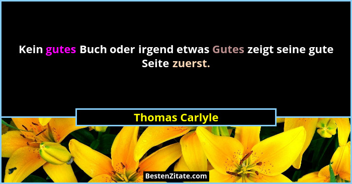 Kein gutes Buch oder irgend etwas Gutes zeigt seine gute Seite zuerst.... - Thomas Carlyle