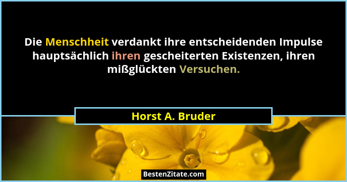 Die Menschheit verdankt ihre entscheidenden Impulse hauptsächlich ihren gescheiterten Existenzen, ihren mißglückten Versuchen.... - Horst A. Bruder