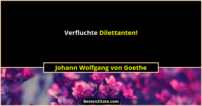 Verfluchte Dilettanten!... - Johann Wolfgang von Goethe