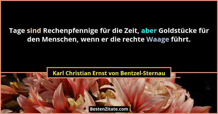 Tage sind Rechenpfennige für die Zeit, aber Goldstücke für den Menschen, wenn er die rechte Waage führt.... - Karl Christian Ernst von Bentzel-Sternau