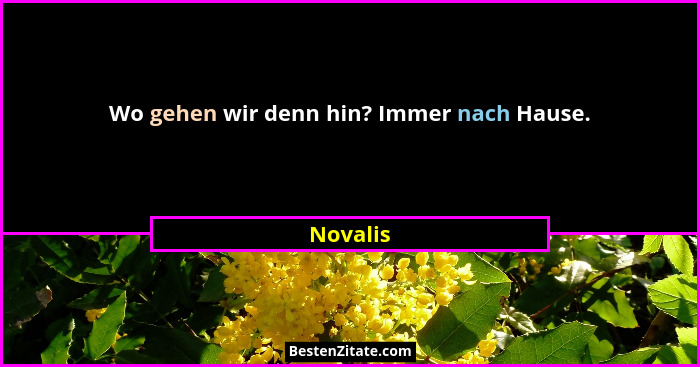 Wo gehen wir denn hin? Immer nach Hause.... - Novalis