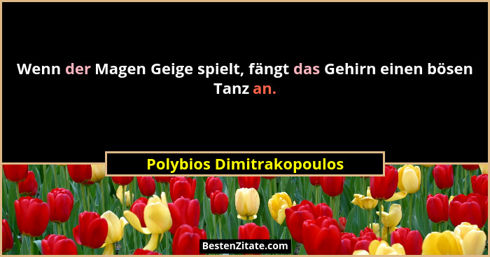 Wenn der Magen Geige spielt, fängt das Gehirn einen bösen Tanz an.... - Polybios Dimitrakopoulos