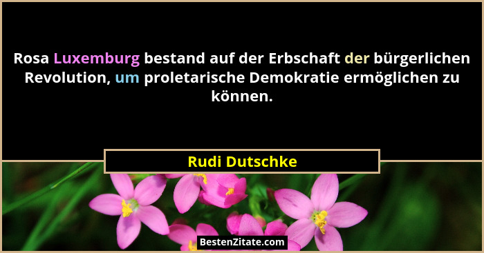 Rosa Luxemburg bestand auf der Erbschaft der bürgerlichen Revolution, um proletarische Demokratie ermöglichen zu können.... - Rudi Dutschke