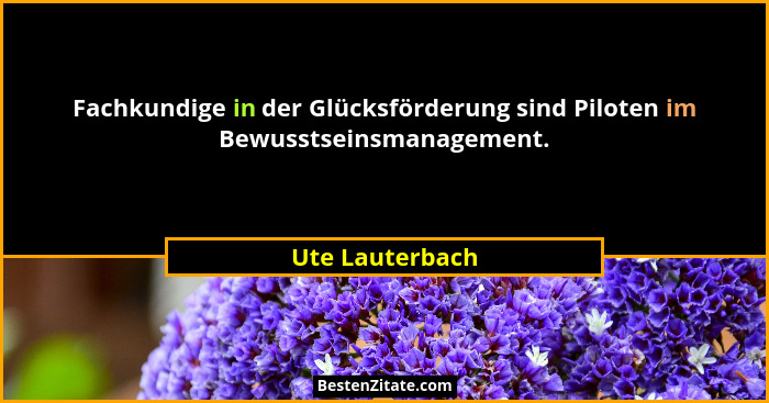 Fachkundige in der Glücksförderung sind Piloten im Bewusstseinsmanagement.... - Ute Lauterbach