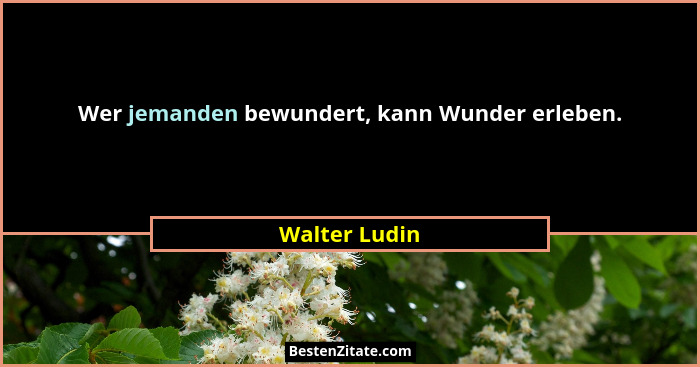 Wer jemanden bewundert, kann Wunder erleben.... - Walter Ludin
