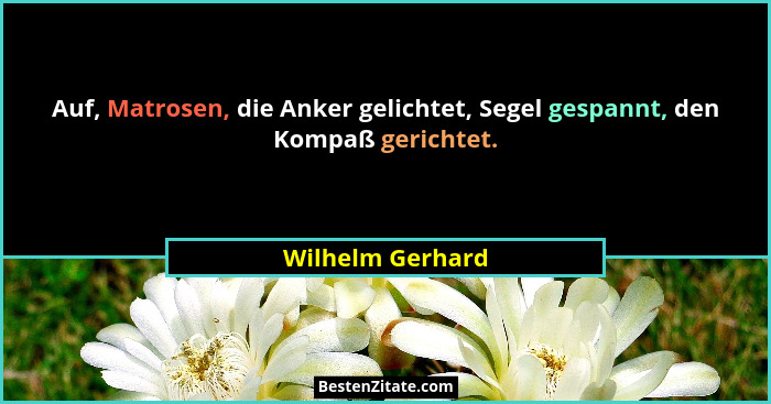 Auf, Matrosen, die Anker gelichtet, Segel gespannt, den Kompaß gerichtet.... - Wilhelm Gerhard