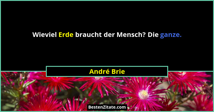 Wieviel Erde braucht der Mensch? Die ganze.... - André Brie
