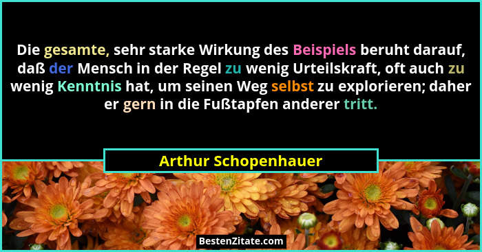 Die gesamte, sehr starke Wirkung des Beispiels beruht darauf, daß der Mensch in der Regel zu wenig Urteilskraft, oft auch zu wen... - Arthur Schopenhauer