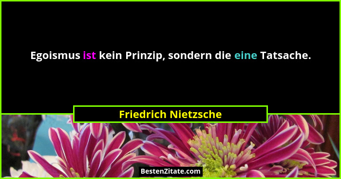 Egoismus ist kein Prinzip, sondern die eine Tatsache.... - Friedrich Nietzsche