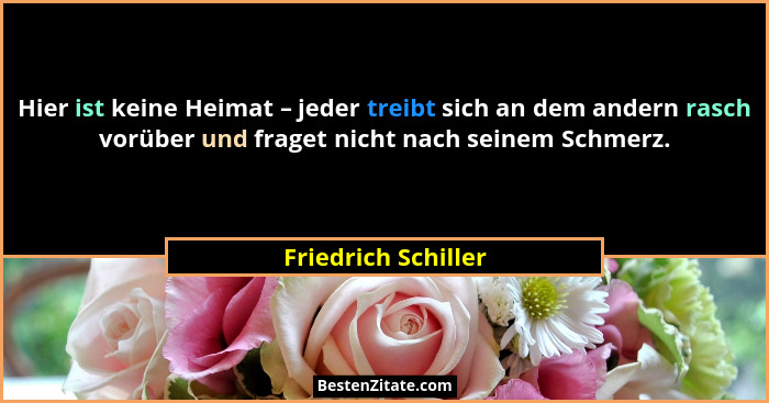 Hier ist keine Heimat – jeder treibt sich an dem andern rasch vorüber und fraget nicht nach seinem Schmerz.... - Friedrich Schiller