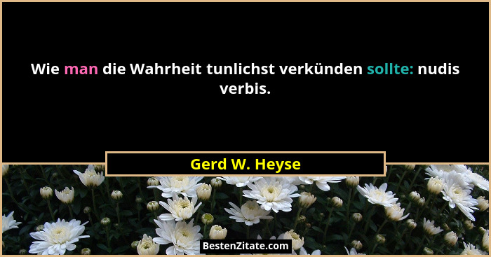 Wie man die Wahrheit tunlichst verkünden sollte: nudis verbis.... - Gerd W. Heyse