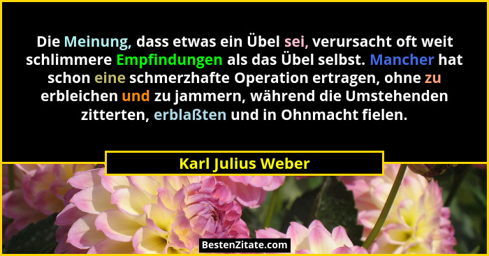 Die Meinung, dass etwas ein Übel sei, verursacht oft weit schlimmere Empfindungen als das Übel selbst. Mancher hat schon eine schm... - Karl Julius Weber